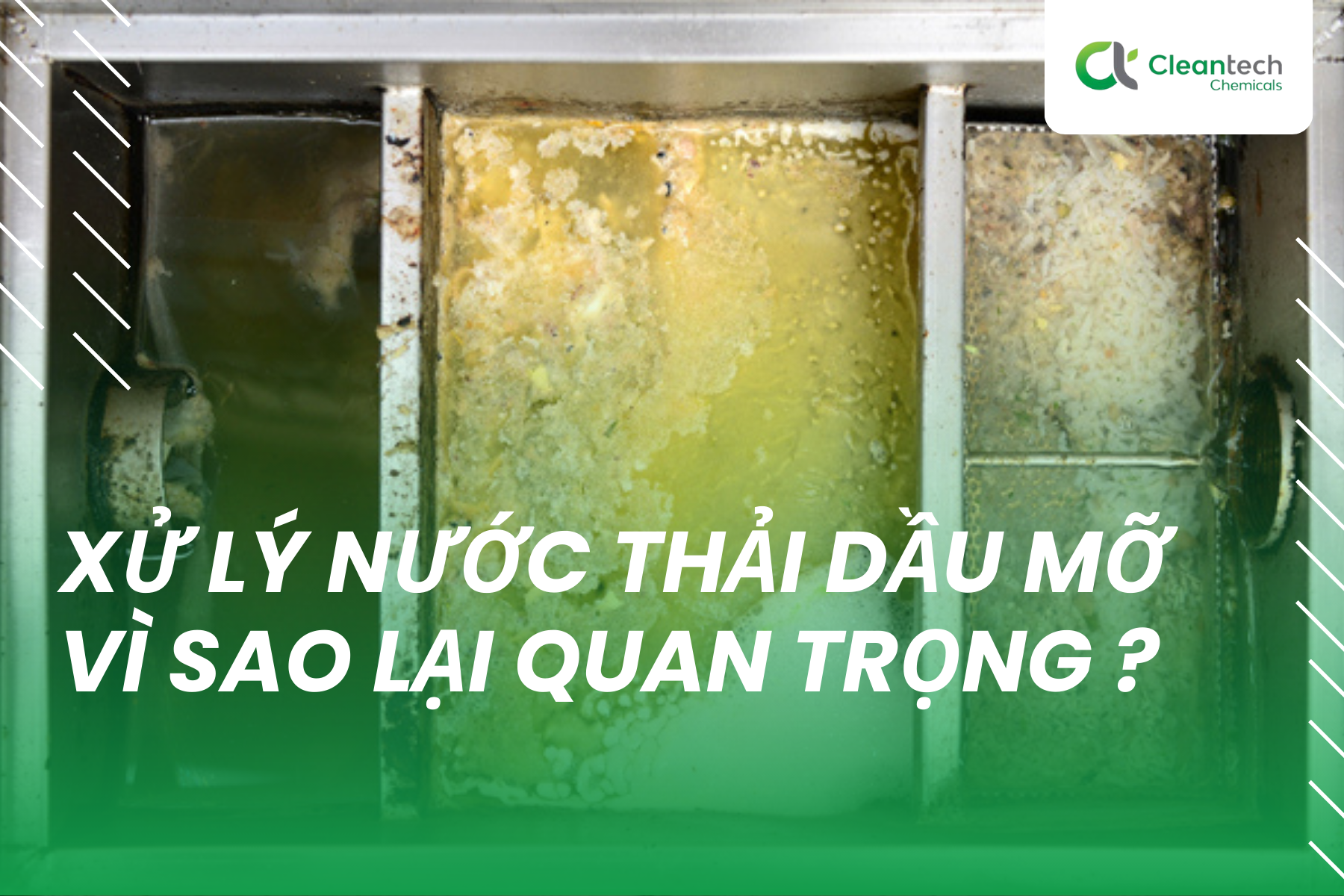 Xử lý nước thải dầu mỡ: Vì sao lại quan trọng với doanh nghiệp?