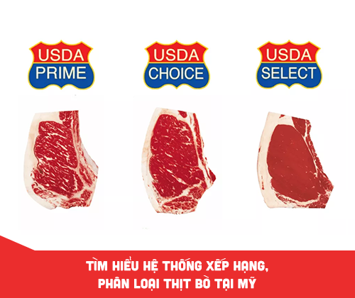 Tìm hiểu hệ thống xếp hạng, phân loại thịt bò tại Mỹ