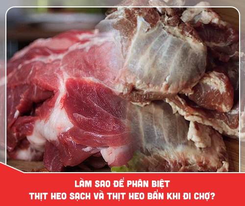 Làm sao để phân biệt thịt heo sạch và thịt heo bẩn khi đi chợ?