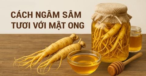 Cách Ngâm Sâm Tươi Với Mật Ong Chuẩn Dược Liệu