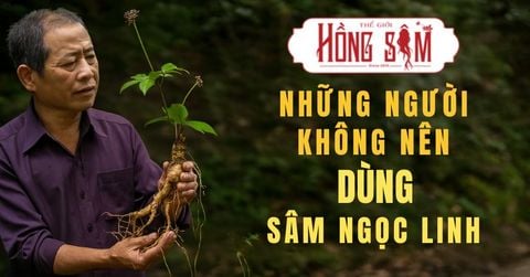 Những Người Không Nên Dùng Sâm Ngọc Linh