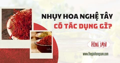 Nhụy Hoa Nghệ Tây Có Tác Dụng Gì?