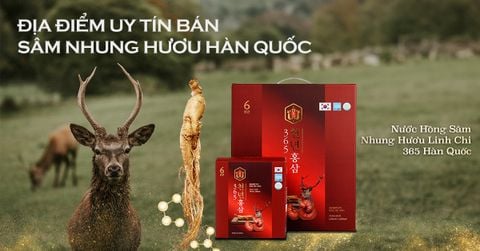 Mua sâm nhung hươu Hàn Quốc ở đâu