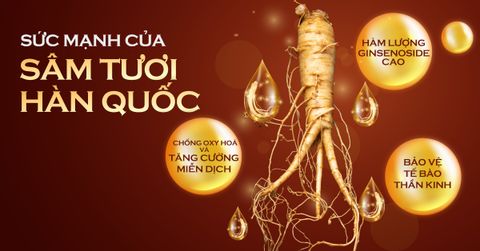 Khám phá sức mạnh của Sâm Tươi Hàn Quốc