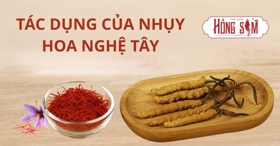 Tác Dụng Của Nhụy Hoa Nghệ Tây