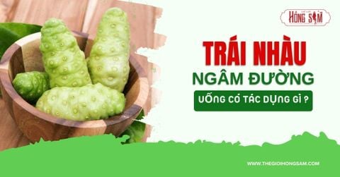 Trái Nhàu ngâm đường uống có tác dụng gì?