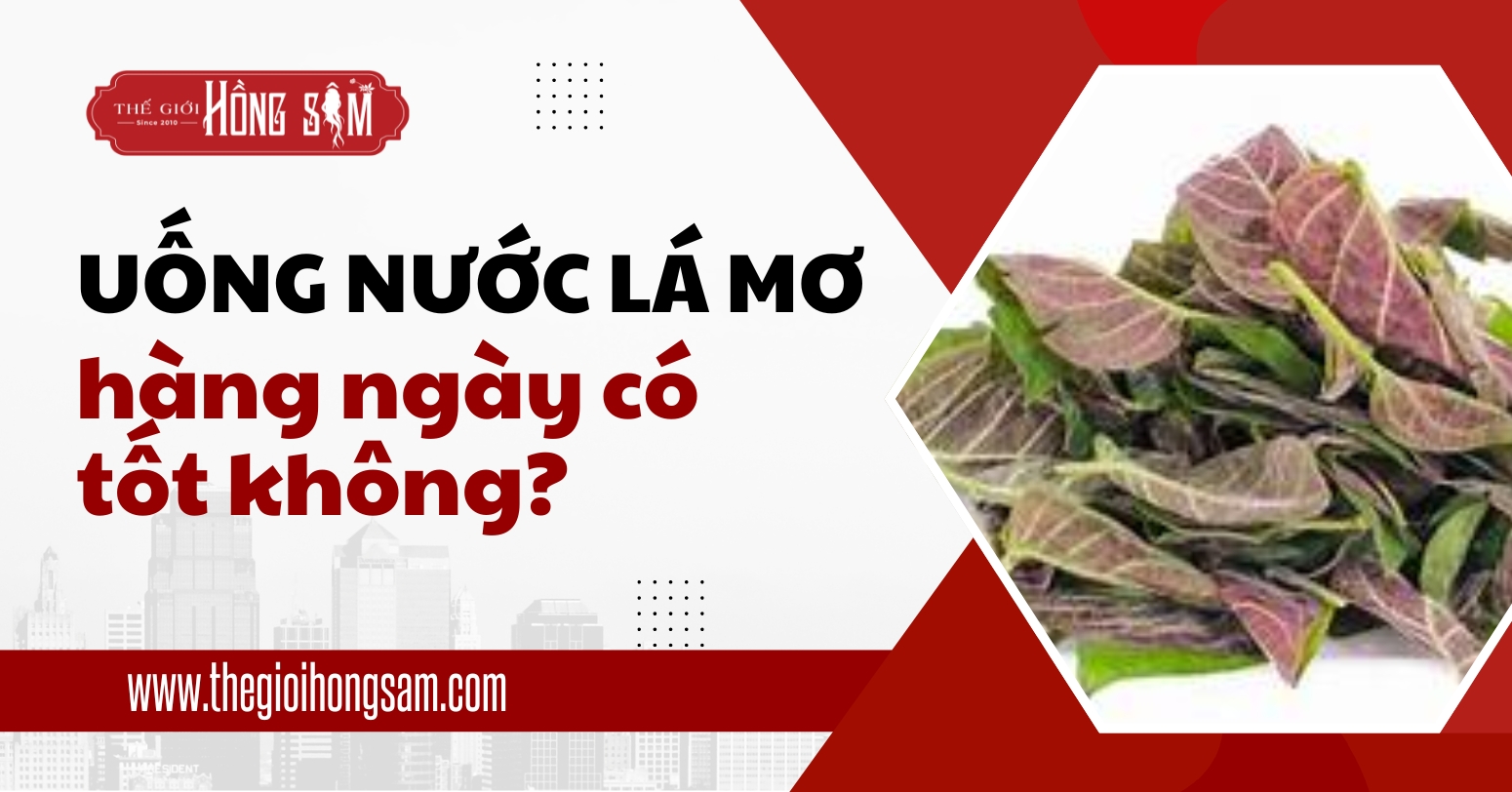 Uống nước lá mơ hàng ngày có tốt không?