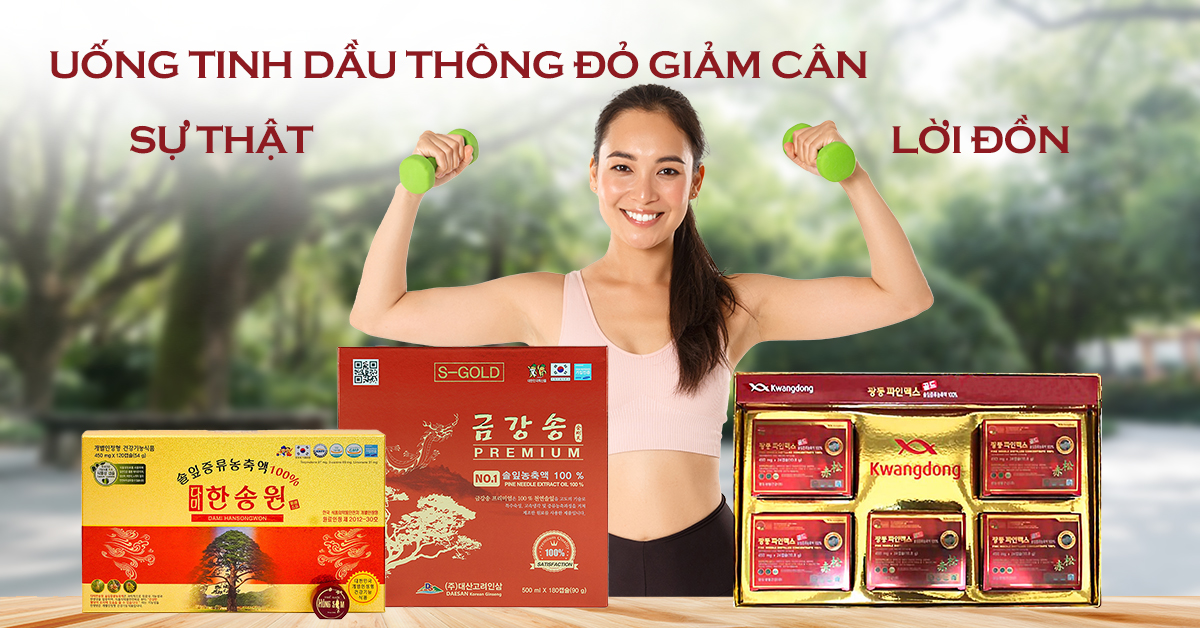 Uống tinh dầu thông đỏ có giảm cân không? Sự thật hay lời đồn?