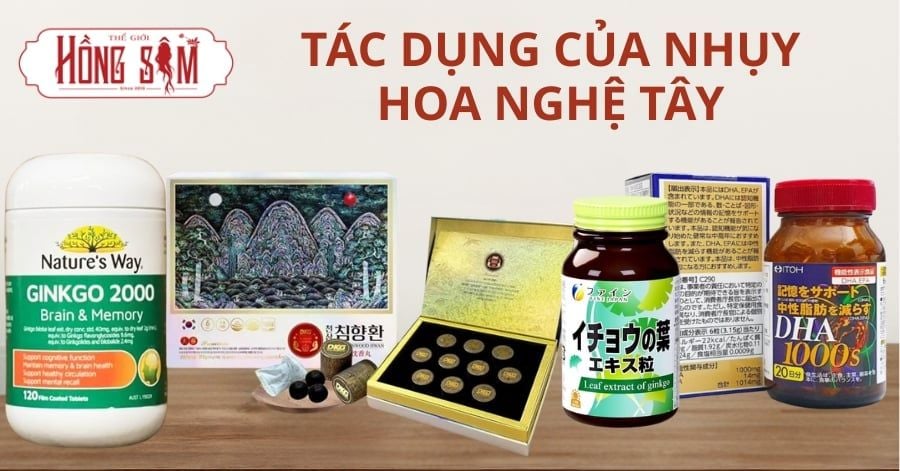 Top 5 viên uống bổ não tốt nhất hiện nay