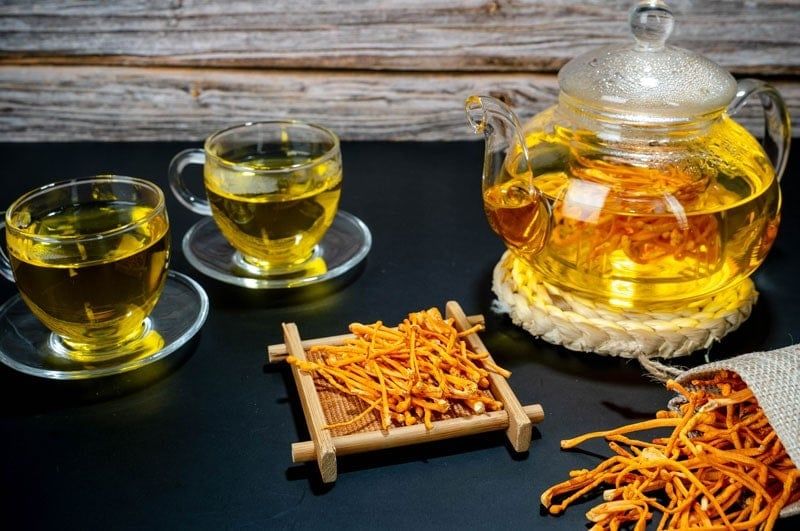 Đông Trùng Hạ Thảo có thể pha trà sử dụng