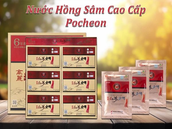 Hình ảnh bài viết