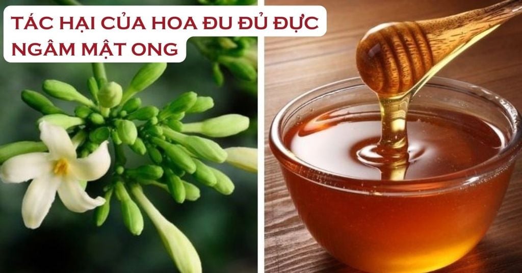 Hình ảnh bài viết