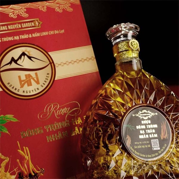 Hình ảnh bài viết