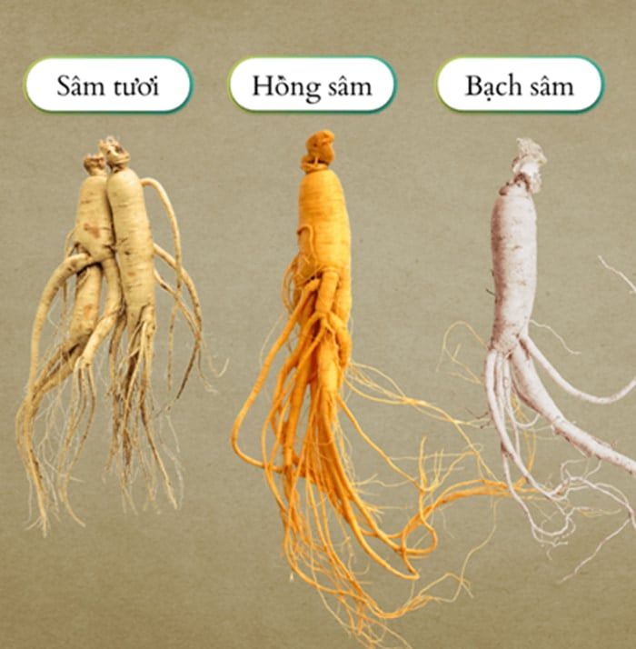 Các loại nhân sâm