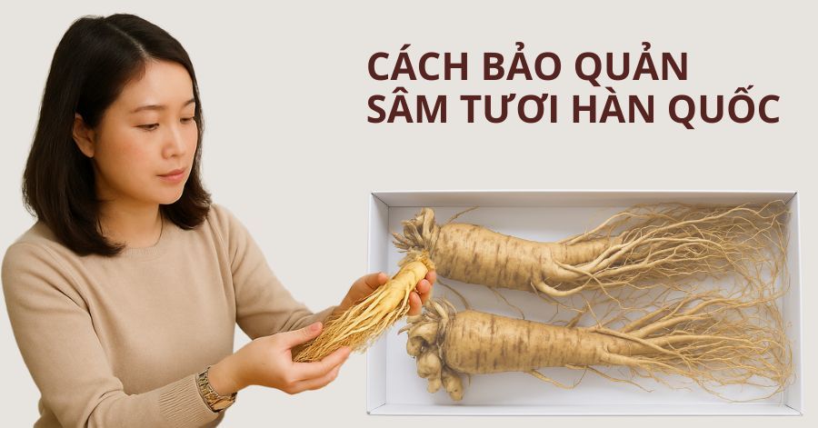 Hình ảnh bài viết