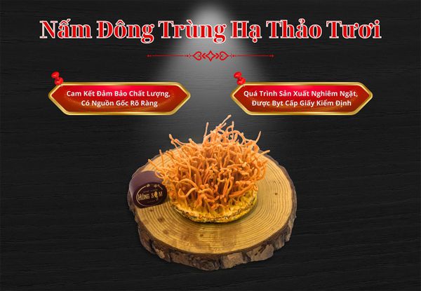 Hình ảnh bài viết