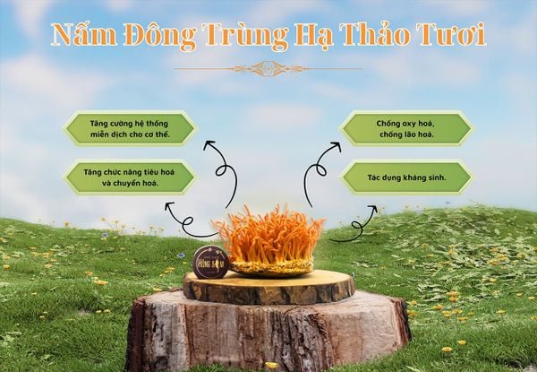 Hình ảnh bài viết