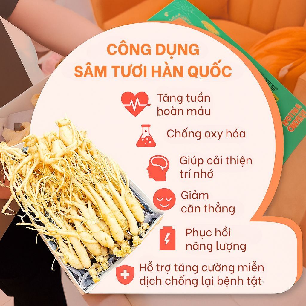 Hình ảnh bài viết