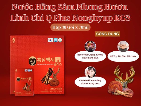 Công dùng của nước hồng sâm nhung hươu linh chi Q Plus.