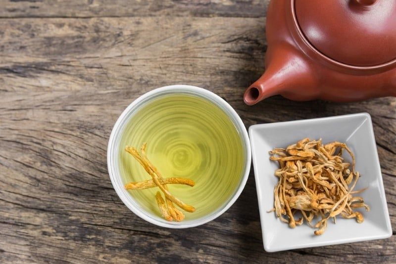 Có nên uống Đông Trùng Hạ Thảo thường xuyên không?