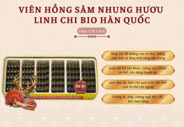 Hình ảnh bài viết