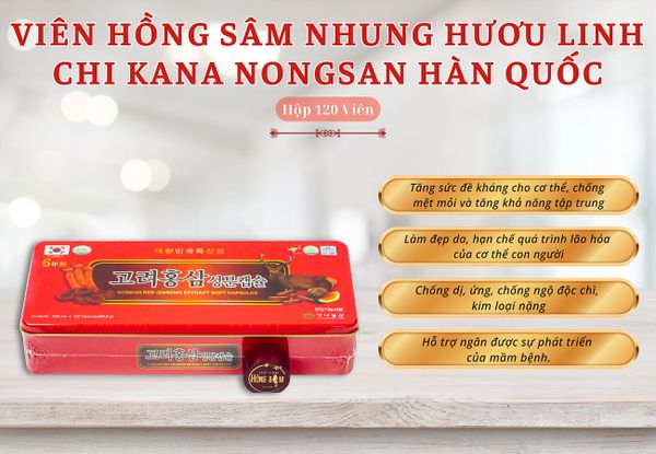 Hình ảnh bài viết