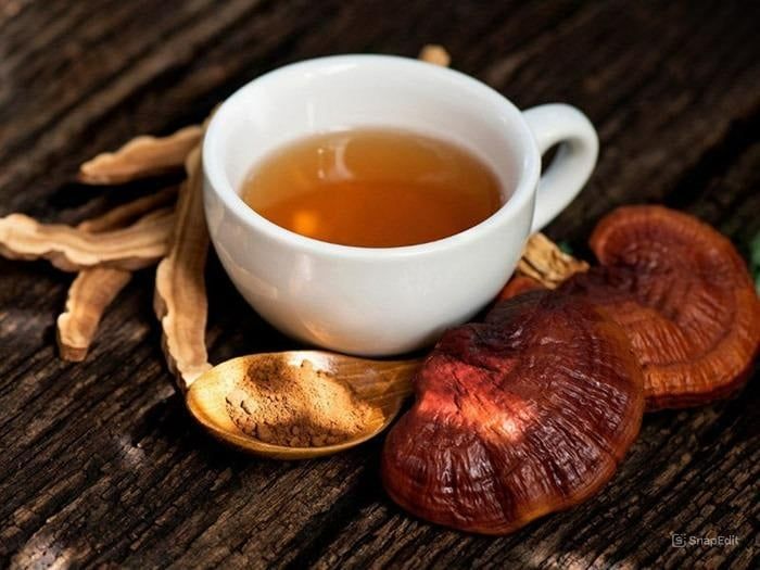 Nấm Linh Chi có thể sử dụng như một loại trà