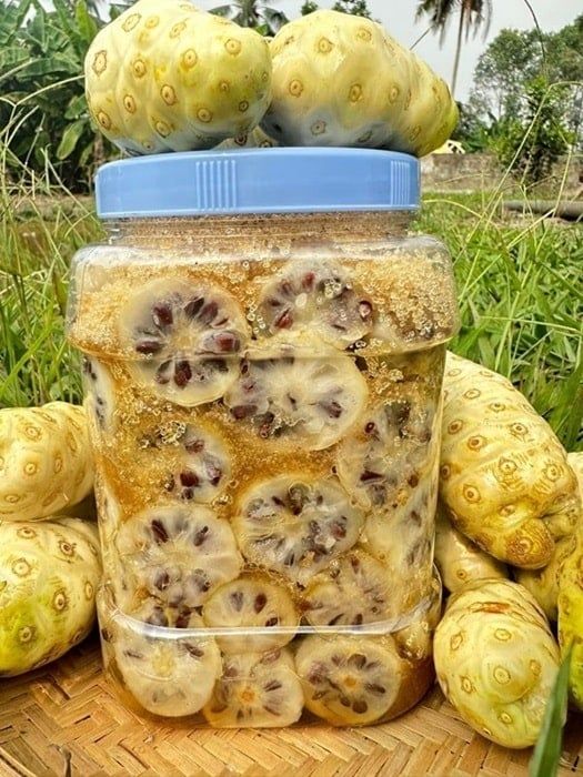 Cách sử dụng trái nhàu ngâm đường đúng cách