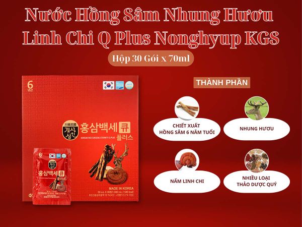 Thanh phần nước hồng sâm nhung hươu linh chi Q Plus Nonghyup KGS chính hãng Hàn Quốc.