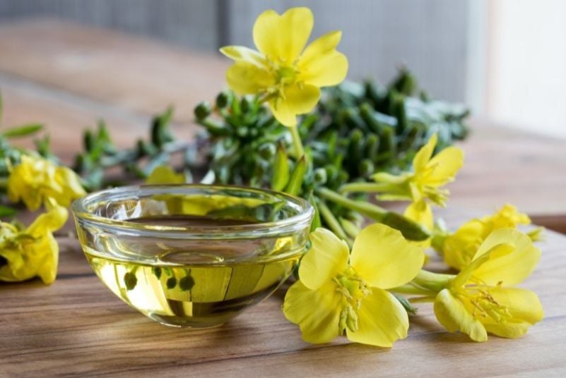 Hoa Anh Thảo là gì?