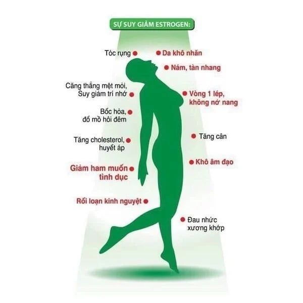 Ai nên sử dụng viên uống Hoa  Anh Thảo?