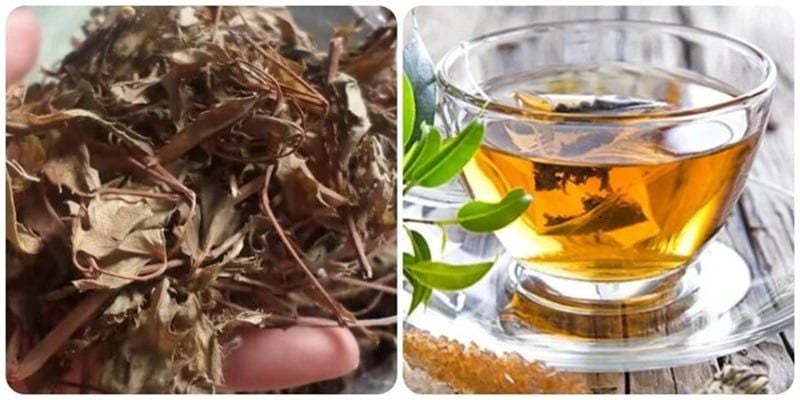 Lợi ích khi uống nước lá đinh năng