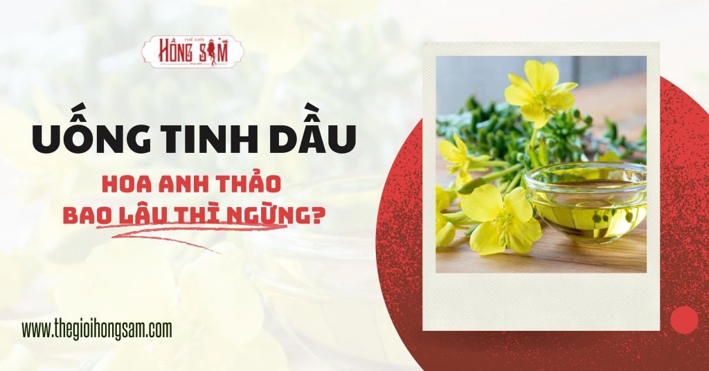 Uống tinh dầu Hoa Anh Thảo bao lâu thì ngừng