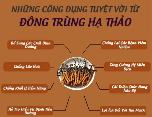 Hình ảnh bài viết