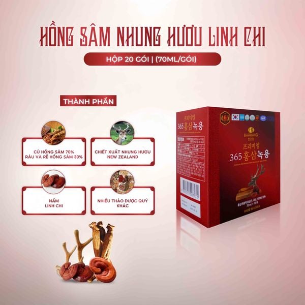 Hình ảnh bài viết