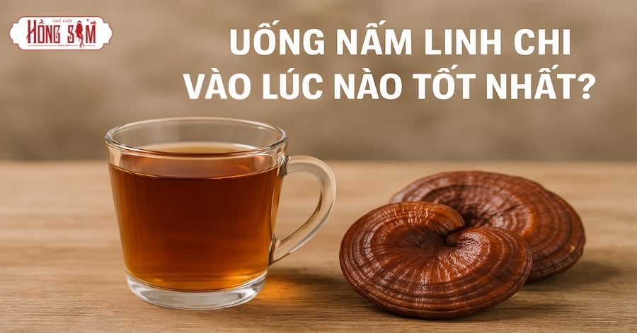 Uống Nấm Linh Chi Khi Nào Là Tốt Nhất?