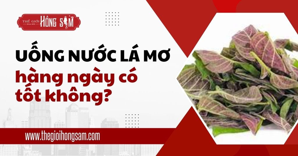 Uống nước lá mơ hàng ngày có tốt không?