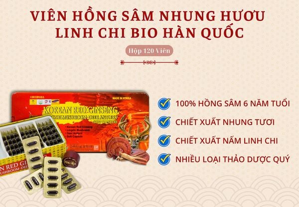 Hình ảnh bài viết