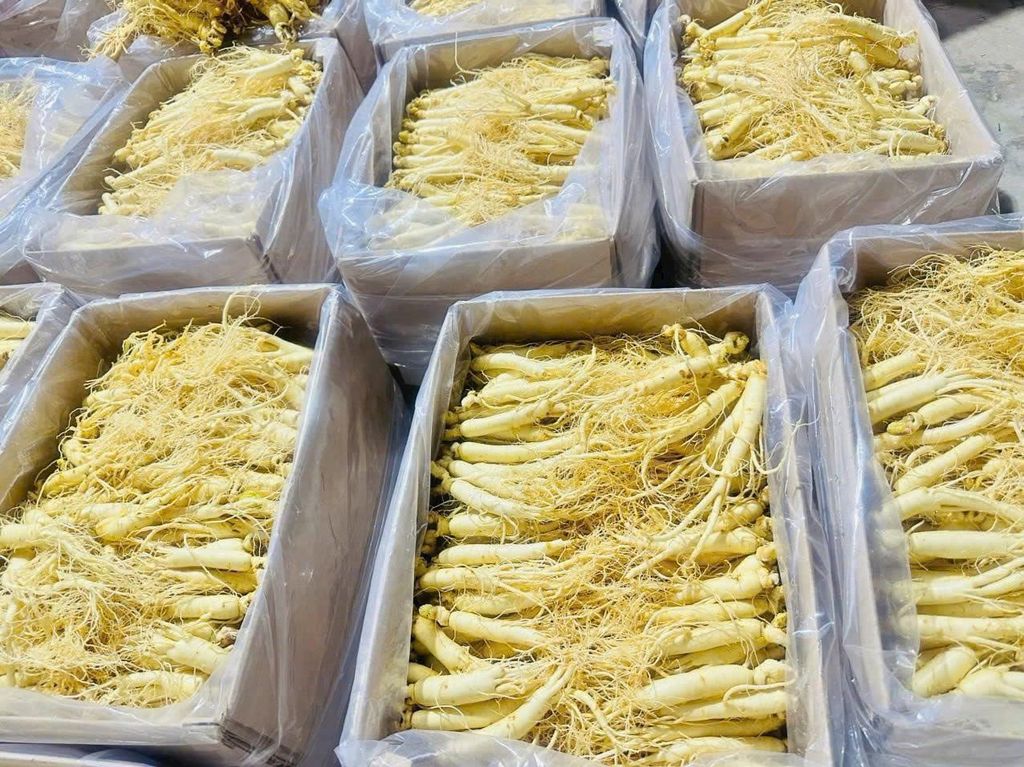 Hình ảnh bài viết