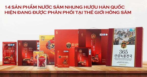 Hình ảnh bài viết