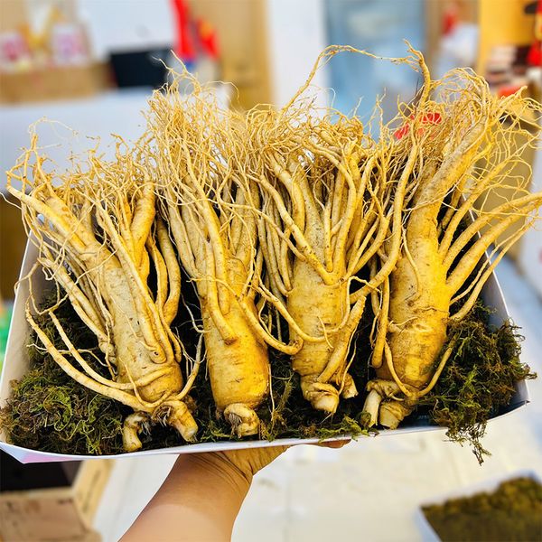 Hình ảnh bài viết