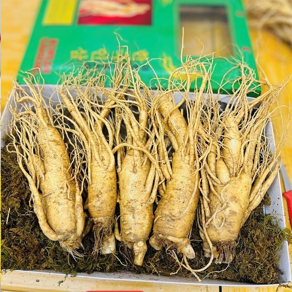 Hình ảnh bài viết