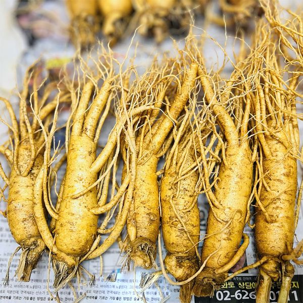 Hình ảnh bài viết