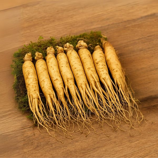 Hình ảnh bài viết