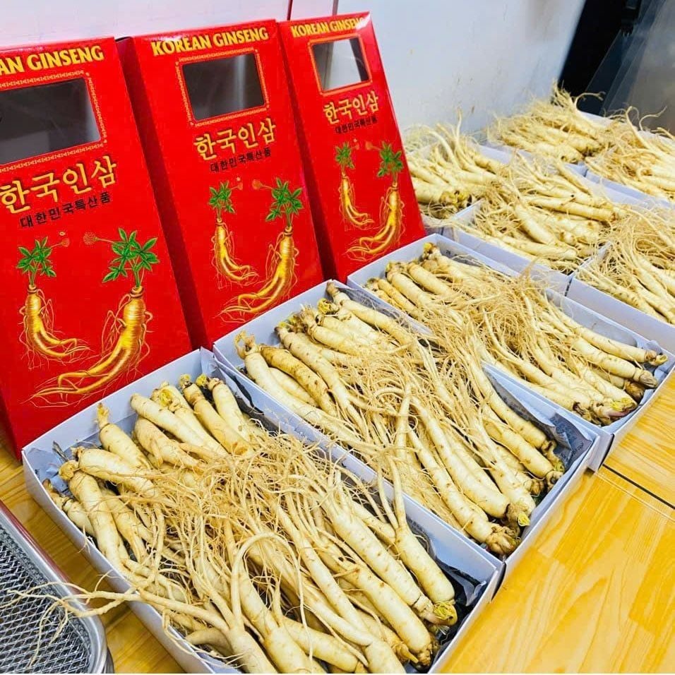 Hình ảnh bài viết