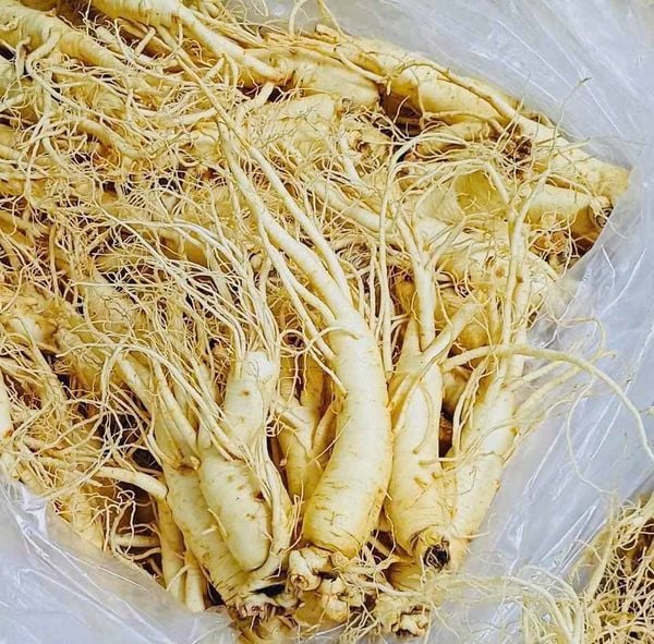 Hình ảnh bài viết