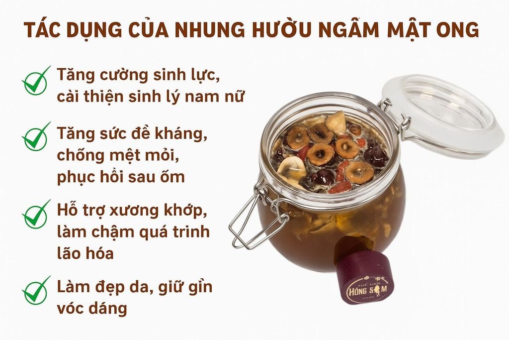 Tác dụng của Nhung Hươu ngâm mật ong