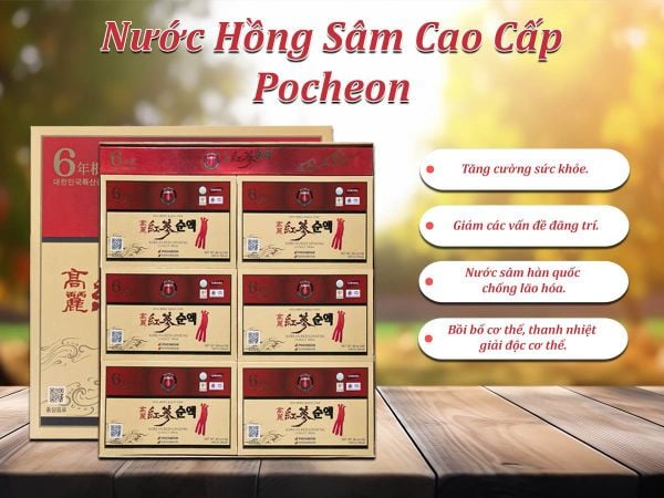 Hình ảnh bài viết