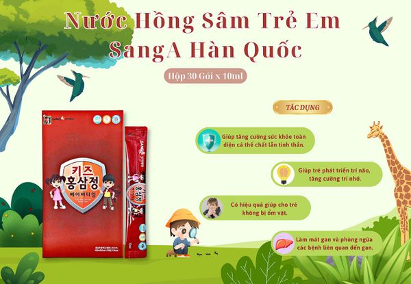 Hình ảnh bài viết