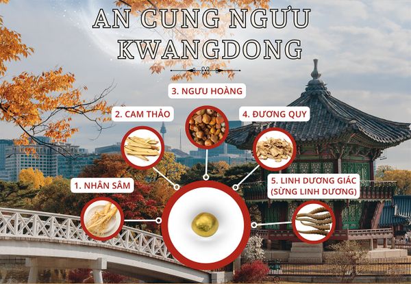 Hình ảnh bài viết